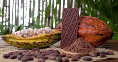 واردات پودر کاکائو از ترکیه+همراه آنالیز و نمونه